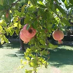Сasa de vacaciones Ca Romi Volta Mantovana