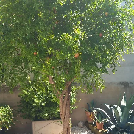 Ca Romi بيت للعطل فولتا مانتوفانا