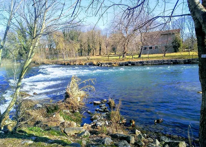 Cà Romi