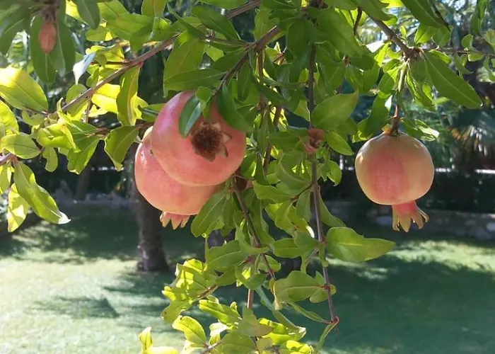 Casa vacanze Cà Romi Volta Mantovana