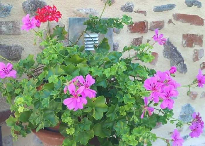 Casa vacanze Cà Romi